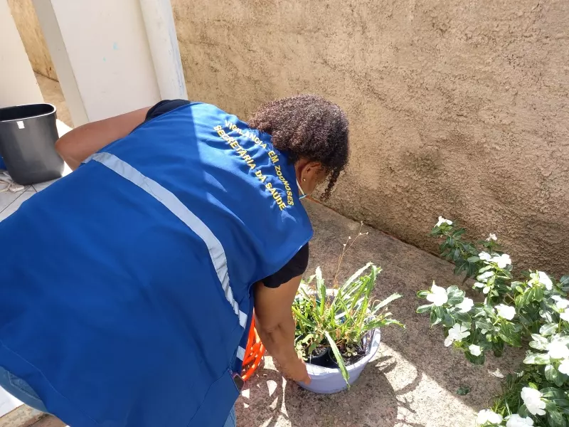 Mulher de 92 anos e homem de 85 anos são vítimas de dengue